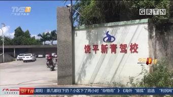 饶平最新爆料消息今天,揭秘今日热点事件背后的真相  第1张